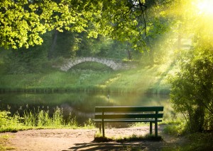 Grief Therapist Upper West Side NYC